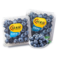 愉果 云南藍(lán)莓超大果4盒