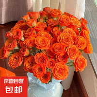 云南多頭玫瑰鮮花速遞顏色品種隨機(jī)5枝枝長(zhǎng)40cm-60cm