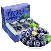 特大果 藍(lán)莓 5盒 單果18mm+