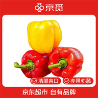 京覓 山東三色五彩椒 凈重5斤裝 單果100g+ 圓椒甜椒 農(nóng)場源頭直發(fā) 三色水果五彩椒凈重 2.5kg