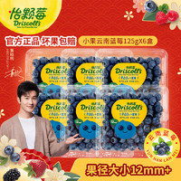 Driscoll's 怡顆莓 云南藍(lán)莓 藍(lán)莓小果125g*6盒