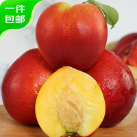 京鮮生 國產(chǎn)黃肉紅油桃 凈重3斤 單果110g+