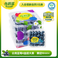 Driscoll's 怡顆莓 當(dāng)季云南藍(lán)莓Jumbo超大果 18mm+ 4盒裝 125g/盒