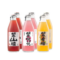 好望水 果汁氣泡水 綜合口味禮盒 300ml*6瓶