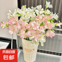 京喜 水仙百合鮮花云南直發(fā)六出花家庭水養(yǎng)花束切花 10枝 顏色隨機(jī)