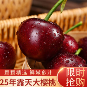 碩莓遂禧 山東大櫻桃 當(dāng)季新鮮水果 4.5斤(凈重)  單果22-26mm