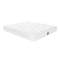 舒達 Serta 記憶棉床墊 26cm 白天鵝