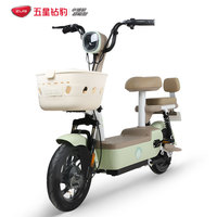 五星鉆豹 48V20長(zhǎng)續(xù)航成人代步電動(dòng)自行車(chē) A28