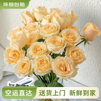 云南鮮花品質(zhì)玫瑰百合水養(yǎng)鮮切花 香檳蜜桃雪山 10支
