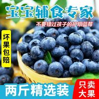 Driscoll's 怡顆莓 云南藍(lán)莓 125克 4盒 14mm
