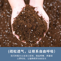 船長花園 營養(yǎng)土養(yǎng)花通用型10L