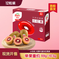 佳沛 新西蘭 新果季 寶石紅奇異果12粒裝單果重88-103g 紅心獼猴桃