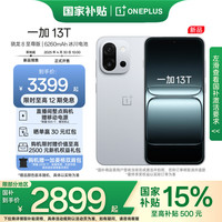 一加 OnePlus 13T 性能超強(qiáng)小直屏 高通驍龍 8 至尊版 6260mAh 晨霧灰 12GB+256GB
