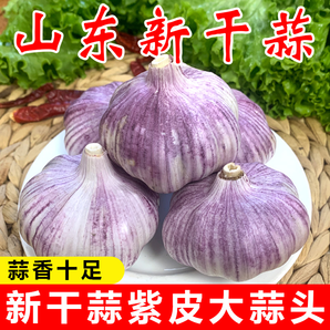 特價金鄉(xiāng)紫皮大蒜干蒜批發(fā)新鮮特大號紅皮大蒜子便宜蔬菜新鮮多瓣