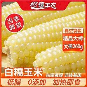 東北白糯玉米正宗粘玉米粗糧玉米新鮮糯玉米大棒真空裝2024新玉米