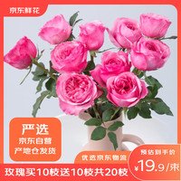 某東鮮花 源頭直發(fā)昆明基地玫瑰花買10枝送10枝共20枝顏色（熱賣）