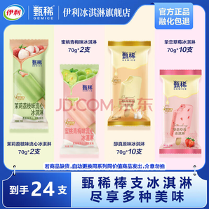 伊利甄稀棒支流心組合全家福24支 棒支冰淇淋水果口味雪糕冰激凌 到手24支（1680g）