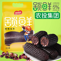 田本部 正宗東北黑糯玉米 220~260g*8支