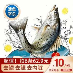 地理標(biāo)識產(chǎn)品，簡鮮 白蕉鱸魚三去海鱸魚200-250g*6條