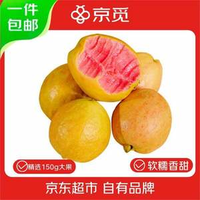 京覓 福建軟紅心芭樂 凈重3斤裝/單果150g+