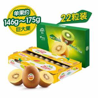 Zespri 佳沛 新西蘭陽光金奇異果 Jumbo巨大果146-175g 22個禮盒裝