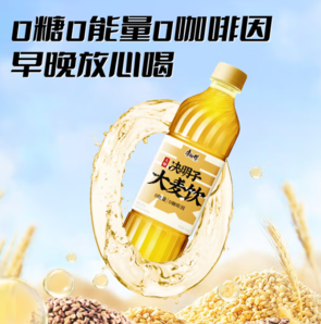 康師傅 決明子大麥茶飲料 整箱500ml*15瓶