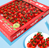 一顆大 玲瓏串櫻桃番茄小串禮盒裝 1kg 