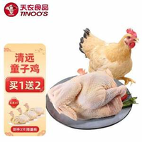 供港品質，天農 散養(yǎng)90天清遠童子雞600-800g*3只