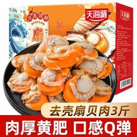 天海藏 去殼扇貝肉1.5kg