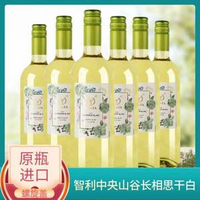 智利原瓶進(jìn)口，Tenpa 天帕 長(zhǎng)相思干白葡萄酒750mL*6瓶