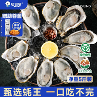 綠色認(rèn)證！貝司令 乳山牡蠣鮮活生蠔王 凈重5斤（7兩/只）送開蠔3件套+蒜蓉醬