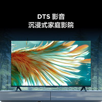 TCL 雷鳥 雀5 25款 一級能效 55英寸 144Hz 液晶平板電視機 55F295C