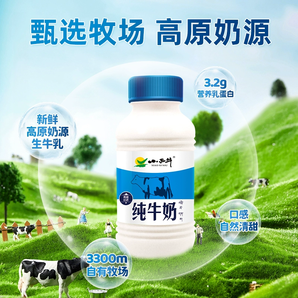 小西牛 青海純牛奶 243mL*12瓶