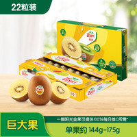 佳沛 陽光金果 奇異果 巨大果 單果146-174g 22個(gè)