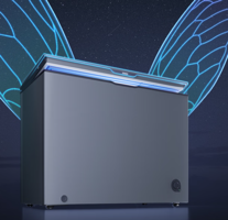 XINGX 星星 300升家用冷藏冷凍轉(zhuǎn)換冷柜 BD/BC-300KE