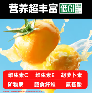 酸甜飽滿！一顆大 黃串番茄 帶枝整串櫻桃番茄 850g