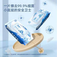 潔柔 小鸚鵡 濕廁紙80抽*6包*2件