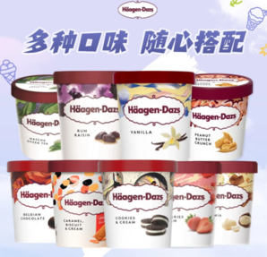 H?agen·Dazs 哈根達(dá)斯 大桶冰淇淋 473ml 