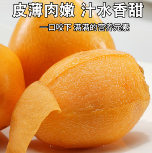 國家地理標(biāo)志產(chǎn)品！京覓 四川米易大五星枇杷 2斤裝（單果30g-40g）
