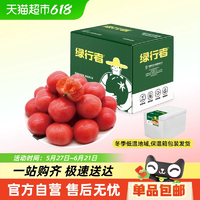 綠行者 桃太郎小粉番茄新鮮西紅柿 5斤