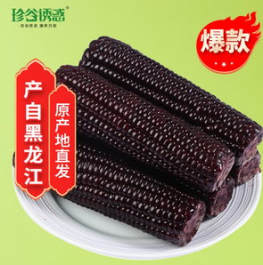 珍谷誘惑 東北甜黑糯玉米10支 1.8kg*1箱