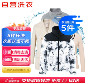 JINGDONG 某東 洗衣服務(wù) 衣服任洗5件