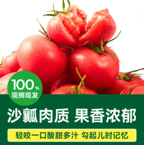綠行者 普羅旺斯西紅柿番茄  單果130g+ 約8-11枚  凈重3斤