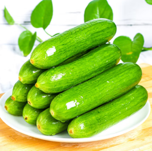 新鮮現(xiàn)摘！Goodfarmer 佳農(nóng) 寶菜 山東荷蘭水果黃瓜 凈重3斤 單果80g+