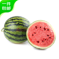 京鮮生 麒麟西瓜 凈重5-6斤