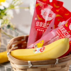 佳農(nóng) 厄瓜多爾進(jìn)口香蕉 4斤（約10-12根）