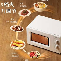 Panasonic 松下 NN-SM30NW 20升家用微波爐
