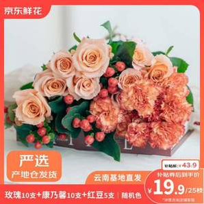 某東鮮花 玫瑰10枝+康乃馨10支+紅豆5支 共25枝