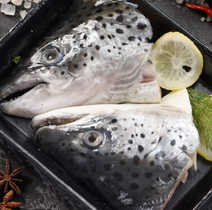 美加佳 智利三文魚(yú)頭（大西洋鮭）1.5kg（三條裝）