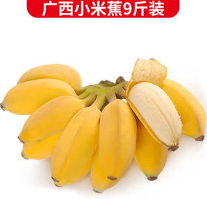 1.77元/斤！靜益樂源 廣西小米蕉 凈重9斤